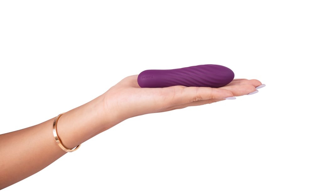 Purple tulip