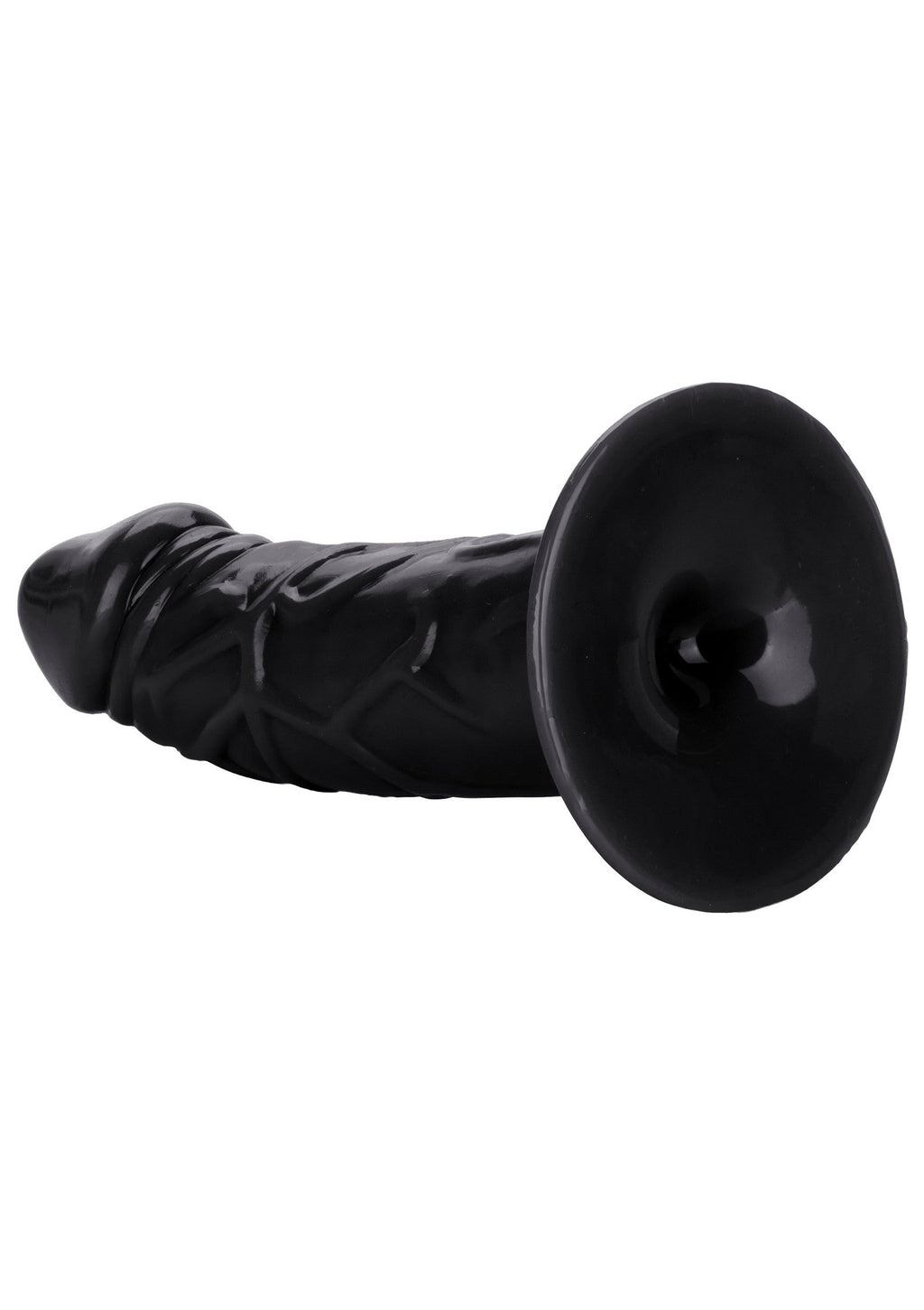 Chubby black back