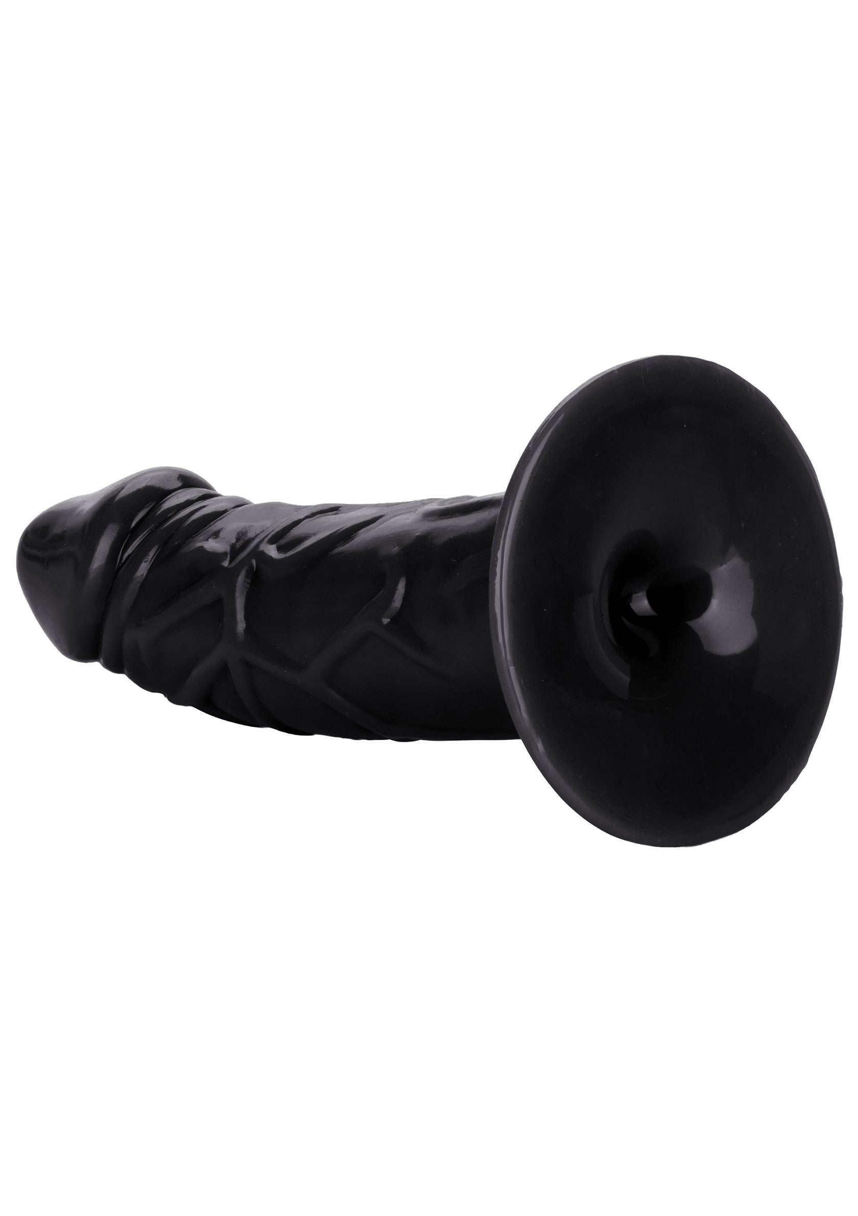 Chubby black back