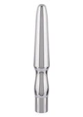 Rechargeable silver anal probe