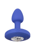 Small blue vibrating probe