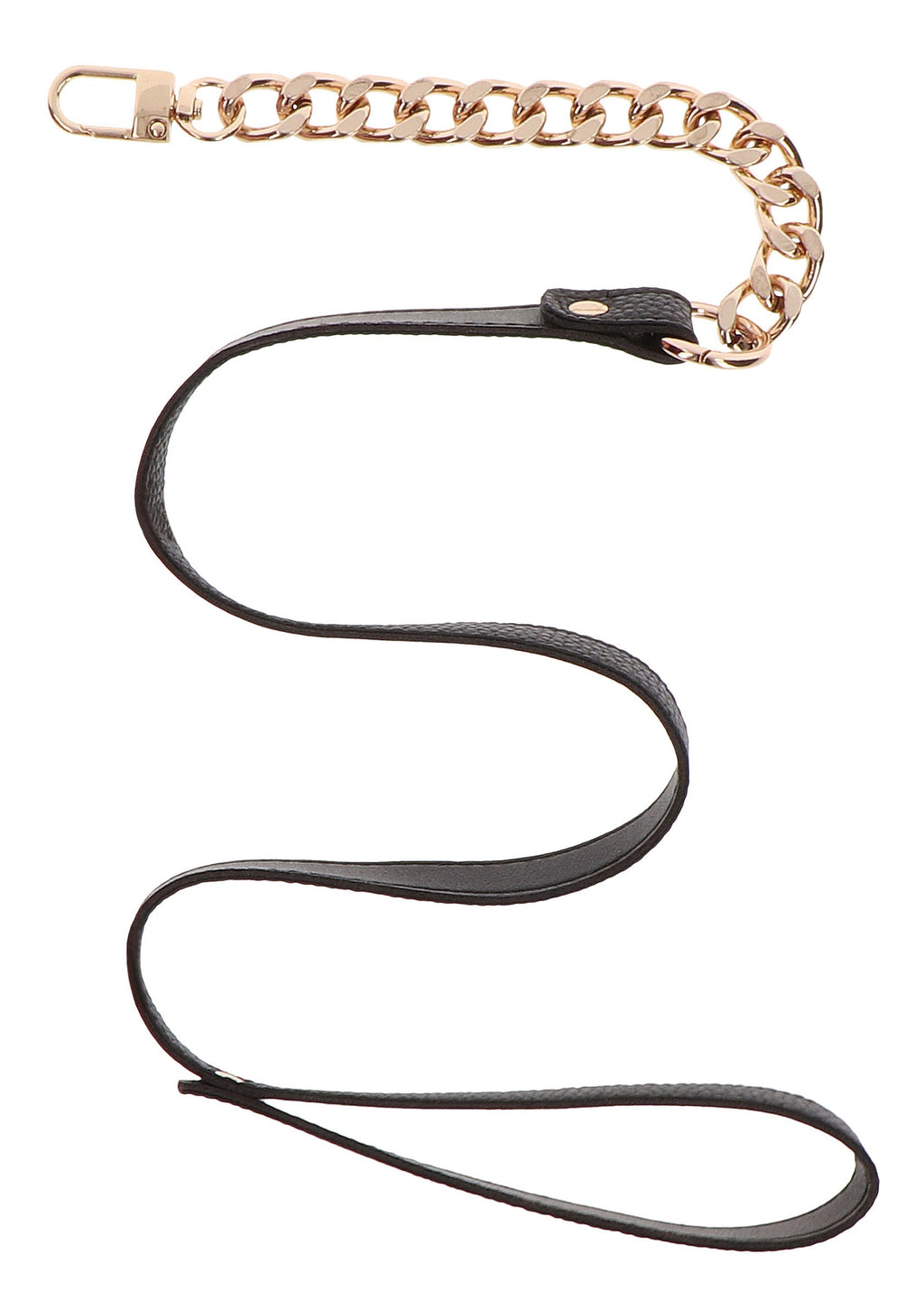 Gold Statement Leash