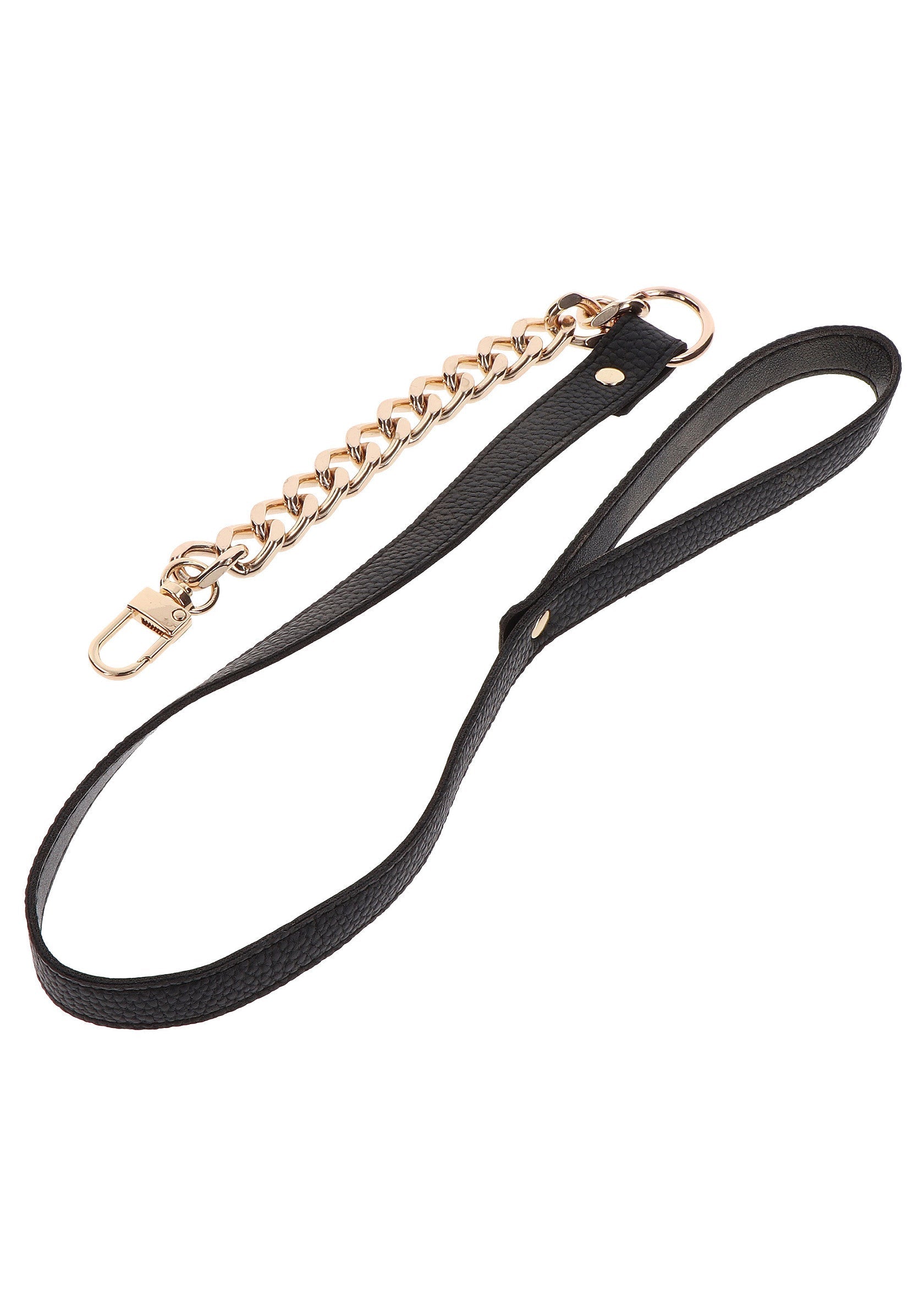 Gold Statement Leash