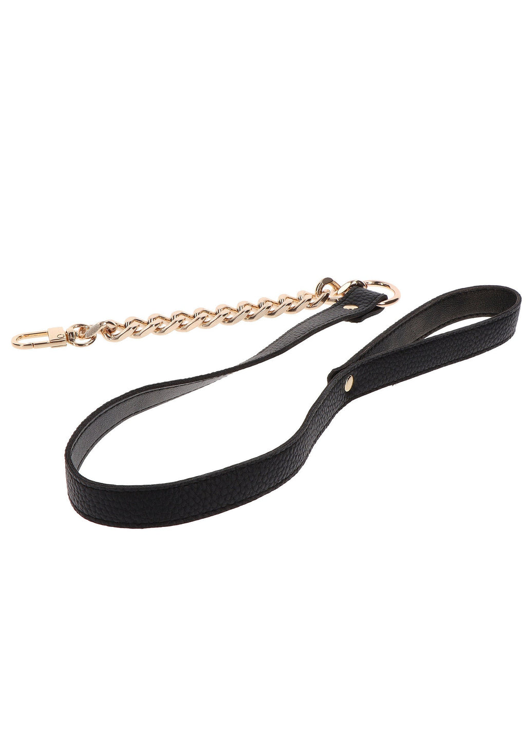 Gold Statement Leash