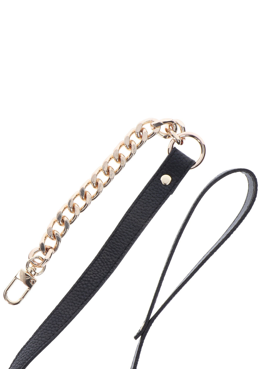 Gold Statement Leash