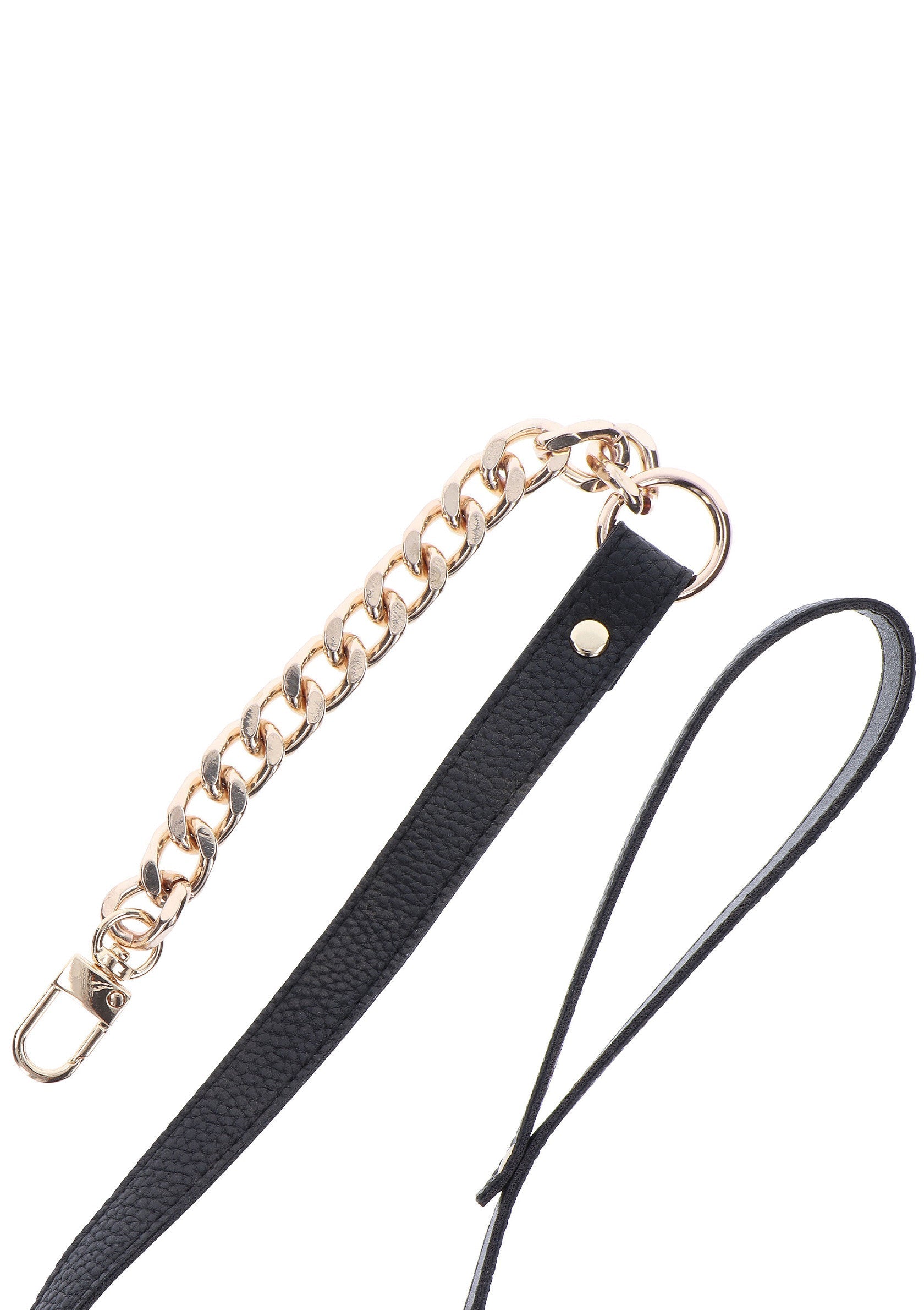 Gold Statement Leash