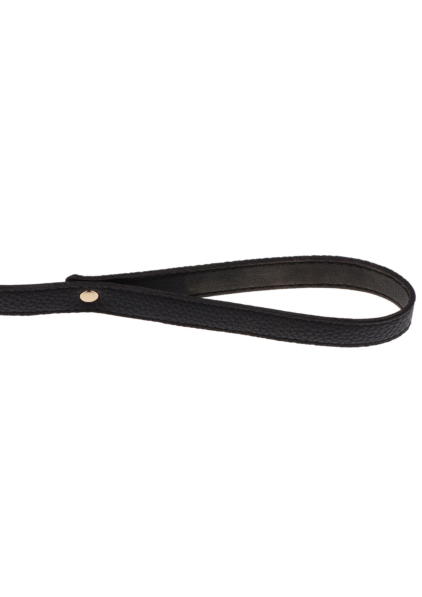 Gold Statement Leash