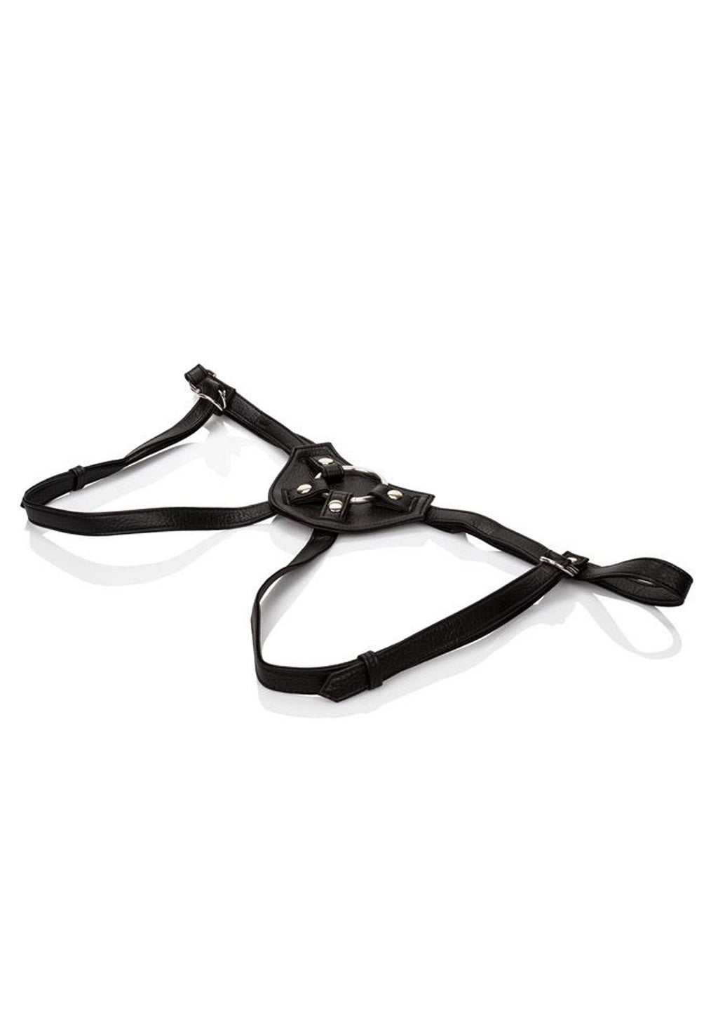 Her Royal Harness The Black Countess
